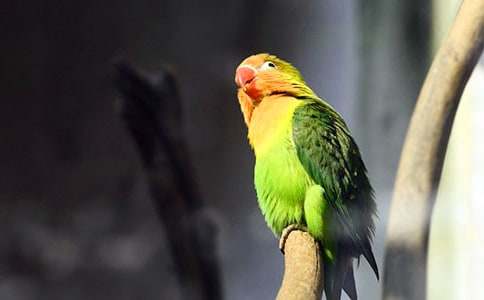 �P���W�^�~����ʮƪ