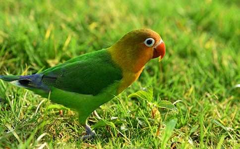 �W�^�~����400�־�ƪ