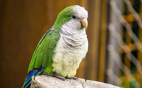 ���x�W�^�~����6ƪ