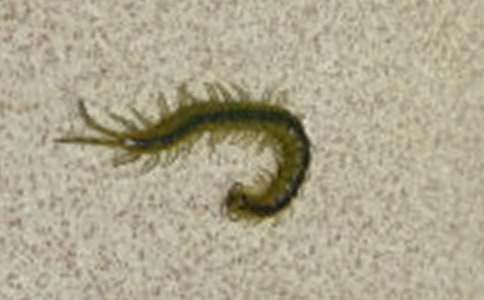 Ԣ�Թ��£�����I��ˮ