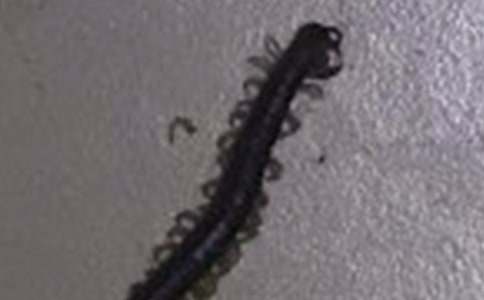 �ְֱ����ҧ�����꼉����