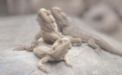 �ҵĺ�������������