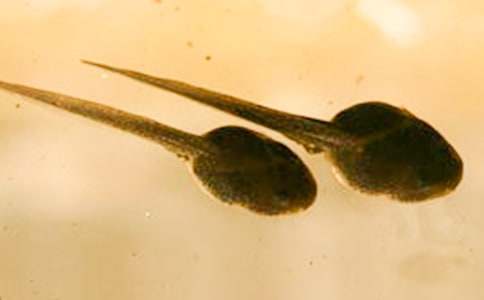 ץ�������600�֣����x64ƪ��