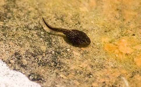 ����ҋ�������̰��OӋ