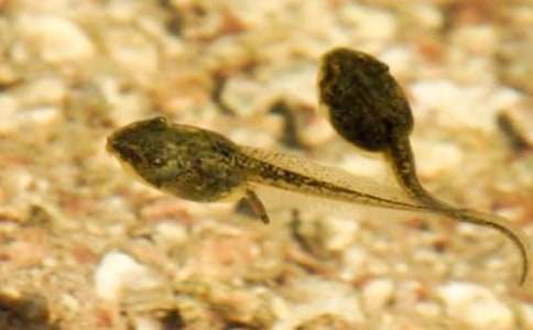 С����ҋ���400��