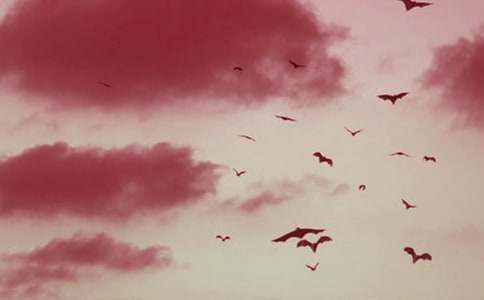 �����С�W�������꼉