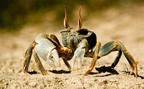 �з���ӵ�ͯԒ����