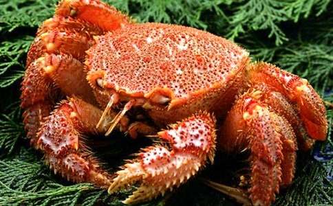 �^���з������7ƪ