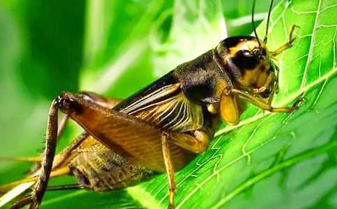 �^�������ģ�ͨ��18ƪ��