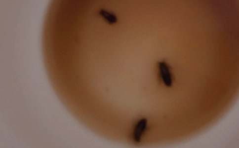 �������400��6ƪ