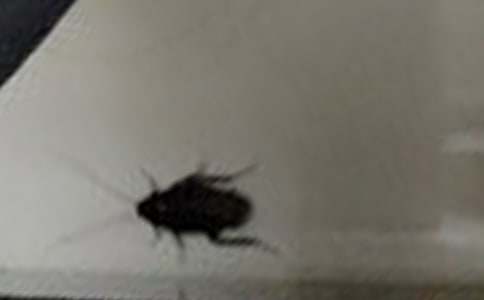 �������400��3ƪ