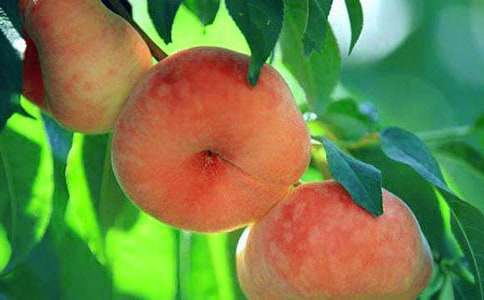 ҹ����ҕ���������