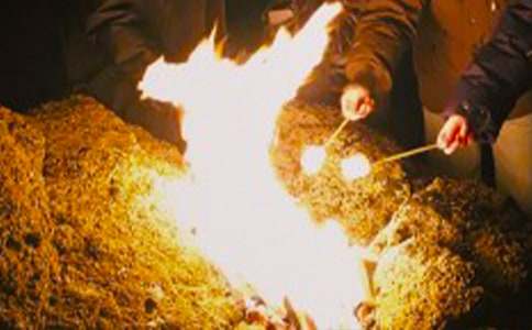 ���������Ӳ߄�����