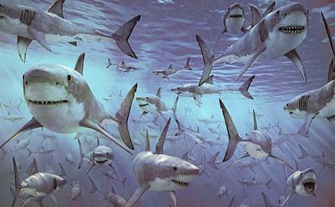 �����x�����~����300�־�ƪ