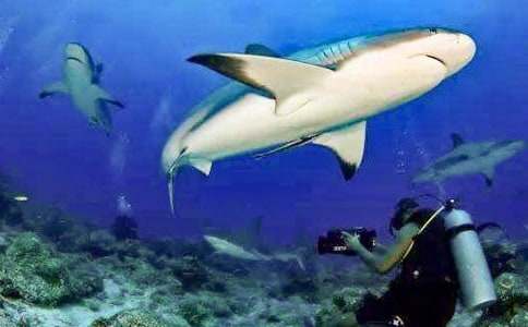 ���ȴ����~Ԣ��ͯԒ����