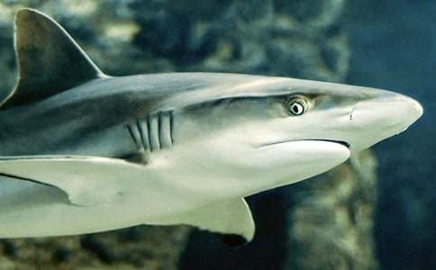 һ�l�����~�B�����~����