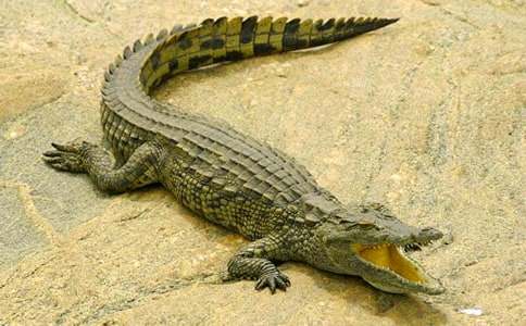 �P���{�~��С�W������