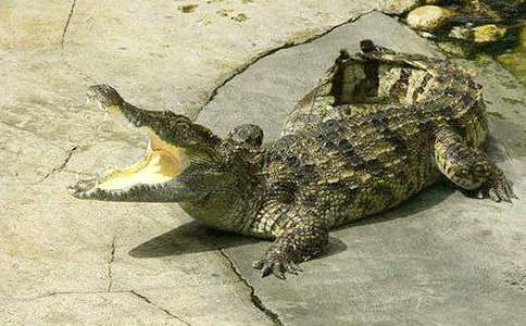 �{�~�ܵ��a��ӛ���꼉����