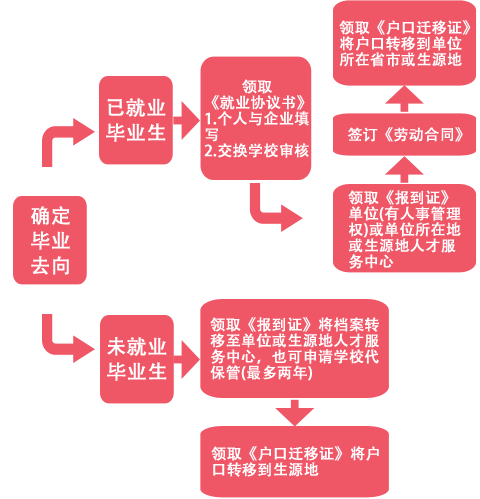 檔案存放流程